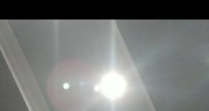 LevON is going live! ՎԻՎ օրենսգիրքը եւ անասունները